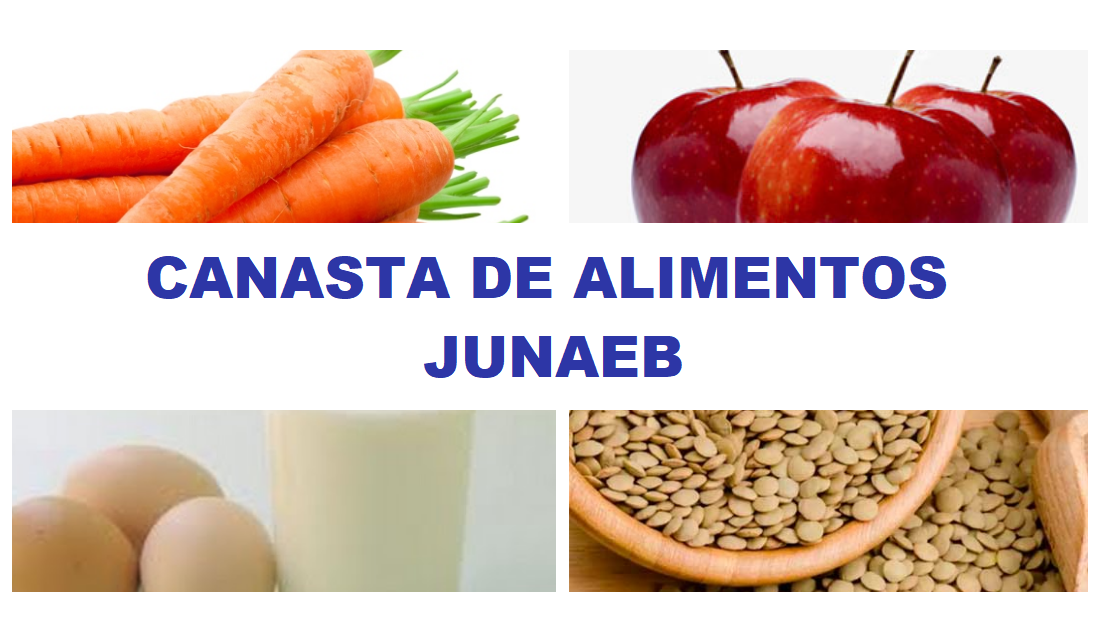 7° Entrega de Canastas de alimentos y guías de estudio antiguas