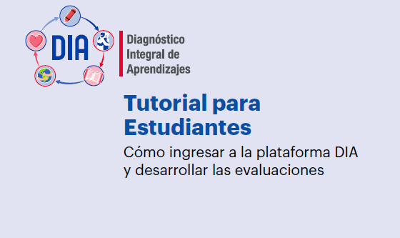 Prueba DIA | Cómo y dónde ingresar para rendir las evaluaciones