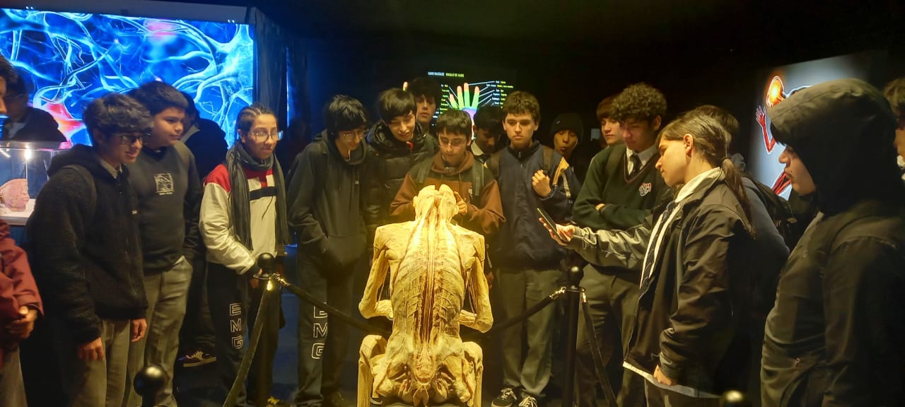 Estudiantes visitan la famosa exposición «Bodies Evolution»